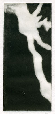Catherine Vo, In Rembrance of the Golux (2007), Etching and aquatint (unique print), 8.75” x 12”, $400