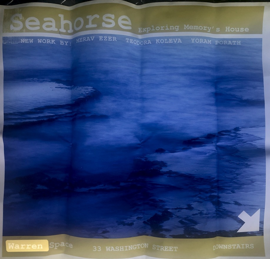 poster: Seahorse — Exploring Memory's House — NEW WORK BY: MERAV EZER, TEODORA KOLEVA, YORAM PORATH — Warren Space, 33 WASHINGTON STREET, DOWNSTAIRS (arrow)