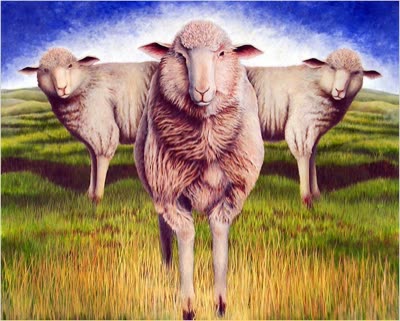 Chris DaSilva, Sheep, oil on canvas, 90 x 76 in.