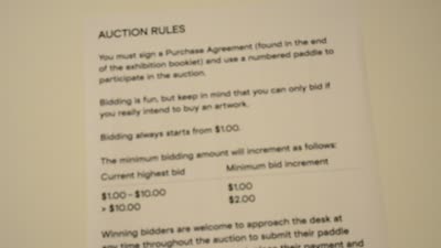Auction rules, 3 April 2016.