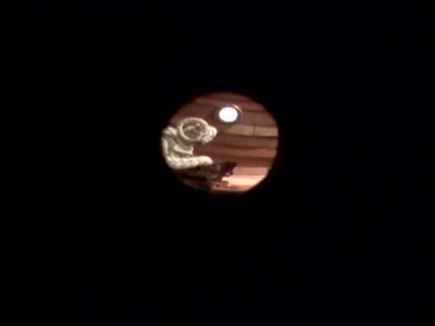 Juliette Morel as the creature Gonai, seen through the porthole of Te Foxl w/Skroo-I at the closing reception, 12 January 2008.