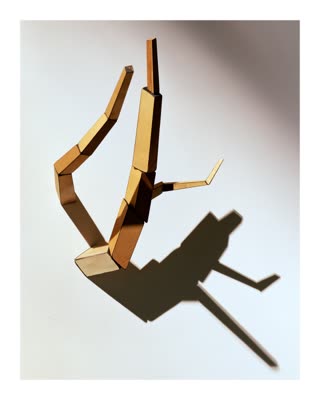 One of the Trees: butcher-block sculptures inspired by bonsai, extending from the gallery walls, 2007.