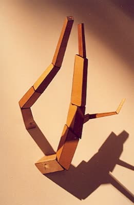 Trees, in the gallery, 2007.