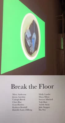 Video projection and the title wall with the artists’ names, 30 April 2016.