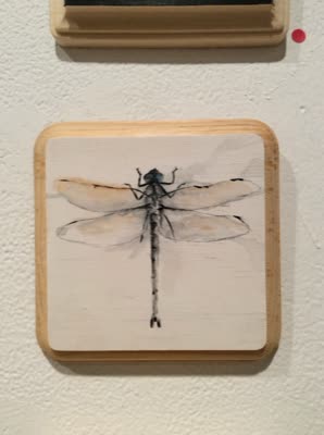 Diana Teeter, dragonfly, from the 365 day project, 2015–2016.