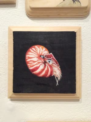 Diana Teeter, nautilus, from the 365 day project, 2015–2016.