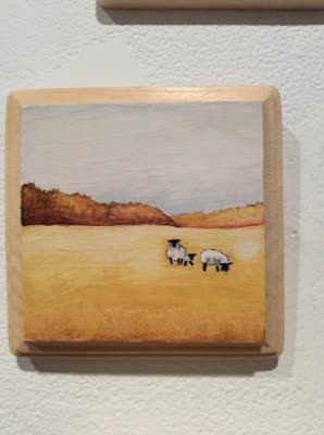 Diana Teeter, sheep in a field, from the 365 day project, 2015–2016.