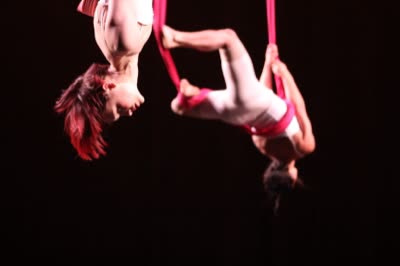 The Paloma Project, aerial duet, 2016.