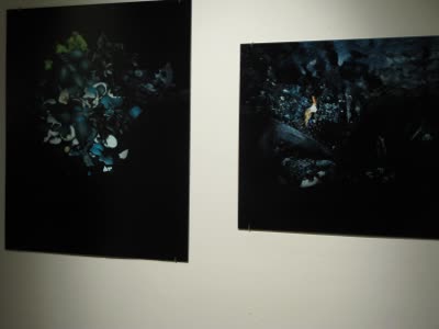 Installation view, with photographs by Margaret Inga Wiatrowski, 24 September 2009.
