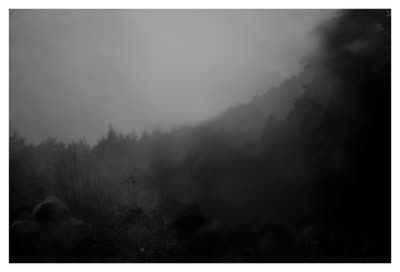 Joshua Zucker-Pluda, Koyo Dai, 2009, c-print, 40 x 26 in.