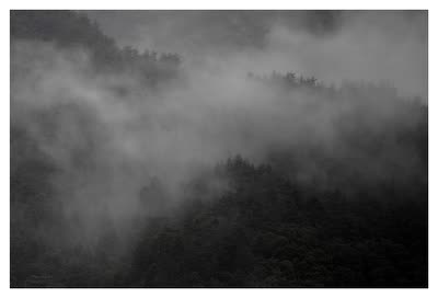 Joshua Zucker-Pluda, Narusawa, 2009, c-print, 40 x 26 in.