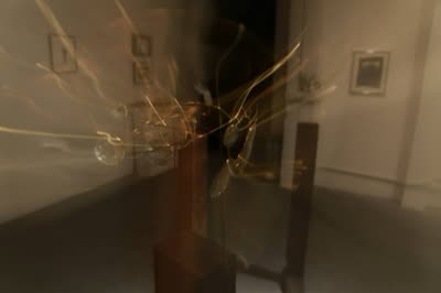 PRIMORDIAL SENSE: aka jewellery, with video by Ruta Balseviciute, September 2013.
