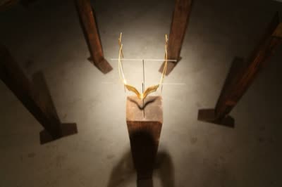 PRIMORDIAL SENSE: aka jewellery, with video by Ruta Balseviciute, September 2013.