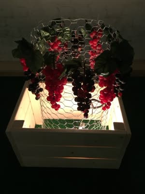 Installation with grapes and wire mesh, 11 April 2016.