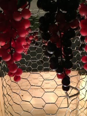 Installation with grapes and wire mesh, detail, 11 April 2016.