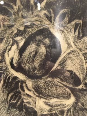 Charcoal drawing, detail, 17 April 2016.