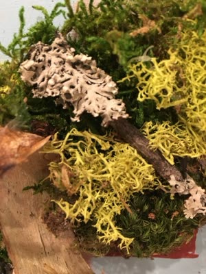 Sculpture with moss and lichen, 17 April 2016.