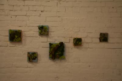 Moss works on the brick wall, 17 April 2016.