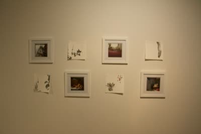 Small framed works, 17 April 2016.