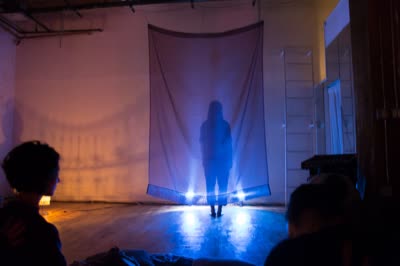 NEGATIVES: a figure behind a backlit curtain, 21 December 2015.