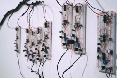 Phillip Stearns, Fruiting Bodies of High-Voltage Transmission Lines, 2010.