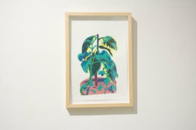 Framed work on paper of a potted plant, Plant Sale, 16 January 2016.