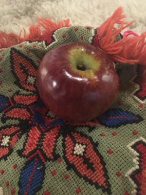 Installation with apple and embroidered cloth, Plantopia, 16 April 2016.