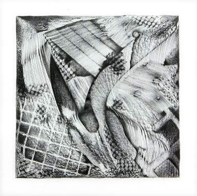 R. Wayne Reynolds, drawing on Tyvek.