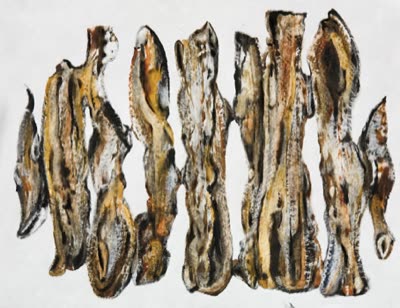 R. Wayne Reynolds, #114, 2010, oil on Tyvek.