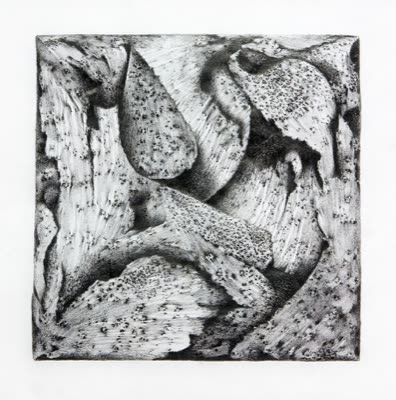 R. Wayne Reynolds, #32, 2009, lithography crayon on Tyvek.