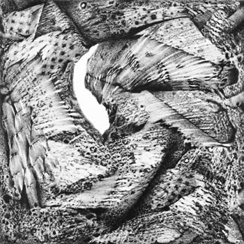 R. Wayne Reynolds, #33, 2009, lithography crayon on Tyvek.
