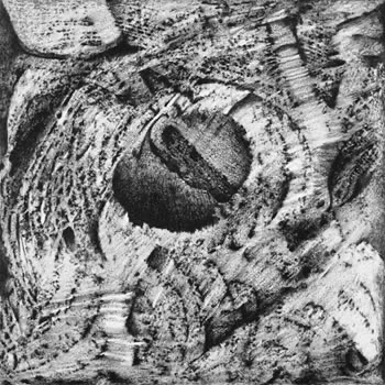 R. Wayne Reynolds, #48b, 2009, lithography crayon on Tyvek.