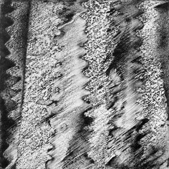R. Wayne Reynolds, #5, 2009, lithography crayon on Tyvek.