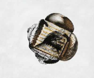 R. Wayne Reynolds, painting on Tyvek.