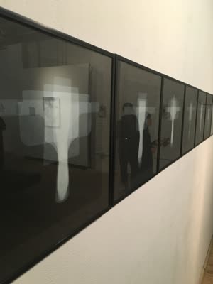 Row of framed photographs, 2016.