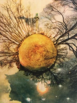 Work from Serendipia: planet of trees, 2016.