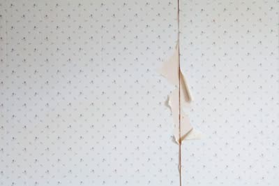 Chrissy Lush, Exposed, 2010, digital C-print.