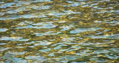 Lynne Maune, Gold, 2010, inkjet print.