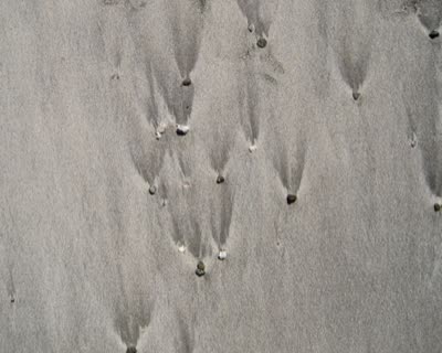 Marsha Owett, Meteor Shower, 1996, digital print.