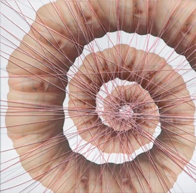 Katherine Keltner, EB 6, from the series Exquisite Bind, 2007, digital photograph on canvas, thread, 23 × 33 in.