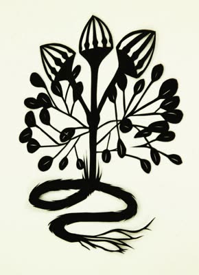 Katerina Lanfranco, Black Botanical #2, 2006, archival paper cut-out, 11 × 8 in.