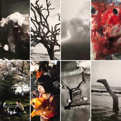 Photographs in the show (collage), 5 May 2016.